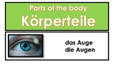 Beginner German - Parts of the Body - Flashcards