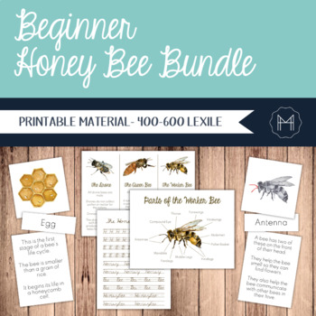 Preview of Beginner Honey Bee Unit - Ages 5-8