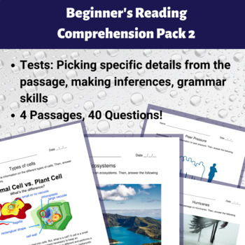 Preview of Beginner's Reading Comprehension Pack 2