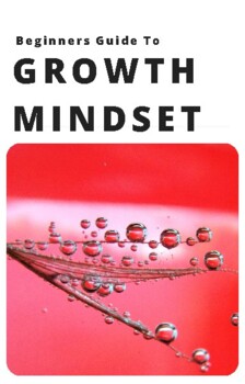 Preview of Beginners Guide To Growth Mindset