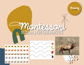 Preview of Beginning Cutting and Scissor Skills Montessori Aligned
