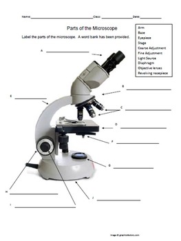 Beginning Microscope 'e' Lab - How to Use the Microscope | TPT
