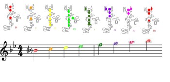 Preview of Beginning Oboe Color Coded Fingering Chart- Concert Bb