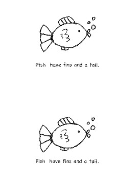 Beginning Reader About Fish by Martha Krein | Teachers Pay Teachers