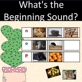 Beginning Sound Strips with Pictures Language Vocabulary