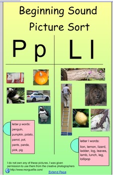 Preview of Beginning Sounds Picture Sort (A, B, C, D)