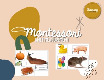 Preview of Beginning Unit Measurement Montessori Aligned