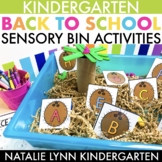 Beginning of Year Sensory Bin Activities Kindergarten Math