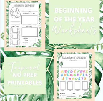 Preview of Beginning of the Year Worksheets | No prep | Math, Science, Reading | Tropical