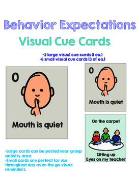 Preview of Behavior Expectations Cue Cards