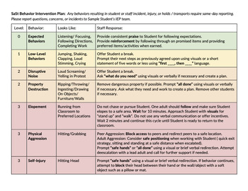 Preview of Behavior Intervention Plan (BIP) "At-A-Glance" Resource Template