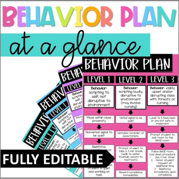 Preview of Behavior Intervention Plan at a Glance | EDITABLE