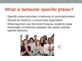 Behavior Specific Praise in the Classroom, PBS: Profession