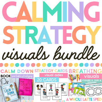 Preview of Behavior Support Visual Strategies- Calm Down Book, Strategies