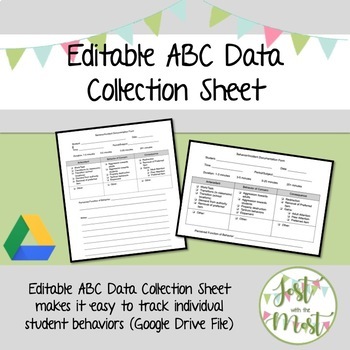 Preview of Behavioral Anecdotal Data Sheet Editable