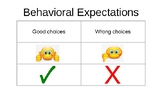 Behavioral Expectations PowerPoint