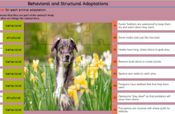 Preview of Behavioral or Structural Adaptations
