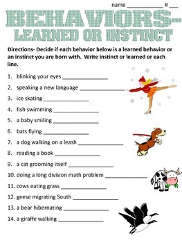 animal worksheet 4 grade lover math   and TpT Learned Behaviors by Instinct science  or