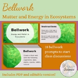 Bellwork - Energy and Matter in Ecosystems (Bell Ringer/Wa