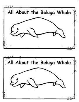 Preview of Beluga Whale Book Kindergarten