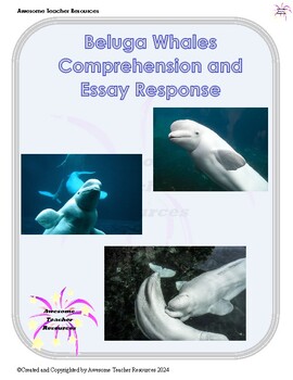 Preview of Beluga Whales Reading Comprehension and Essay Response Worksheet: GR2