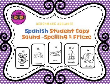 Benchmark Adelante Sound-Spelling Flash Cards & Coloring Book **SPANISH**