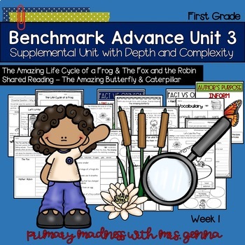Preview of Benchmark Advance - 1st Grade UNIT 3 Week 1 with Depth and Complexity 