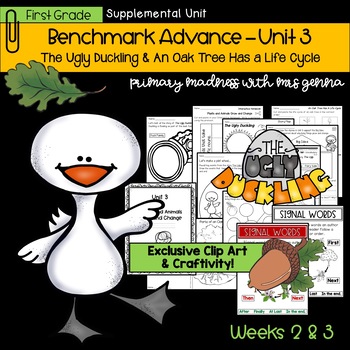 Preview of Benchmark Advance - 1st Grade UNIT 3 Weeks 2 & 3 with Depth and Complexity 