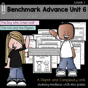 Preview of Benchmark Advance - 1st Grade UNIT 6 Week 1 with Depth and Complexity 