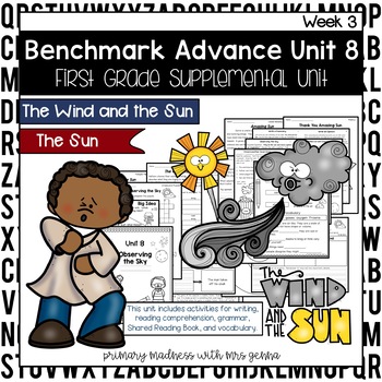 Preview of Benchmark Advance - 1st Grade UNIT 8 Week 3 with Depth and Complexity