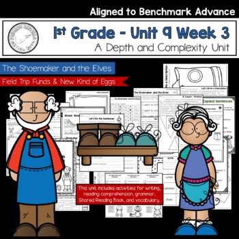 Preview of Benchmark Advance - 1st Grade UNIT 9 Week 3 with Depth and Complexity