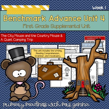Preview of Benchmark Advance  - 1st Grade UNIT4 Week 1 with Depth and Complexity