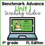 Benchmark Advance 1st Grade Unit 1 Teaching Slides- FL Edition
