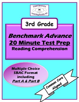 Preview of Benchmark Advance 20 Minute Test Prep Reading Comprehension