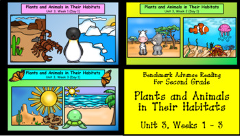 Preview of Benchmark Advance, 2nd Grade, Unit 3