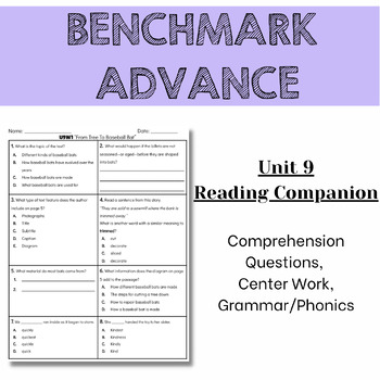 Preview of Benchmark Advance 2nd Grade Unit 9 Comprehension Worksheets - Florida