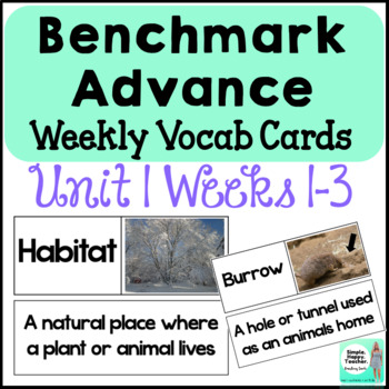 Preview of Benchmark Advance 2nd Grade Vocabulary Cards: Unit 1 NEW Florida Edition 21-22!