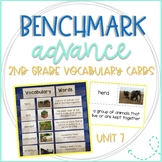 Benchmark Advance 2nd Grade Vocabulary Word, Picture & Def