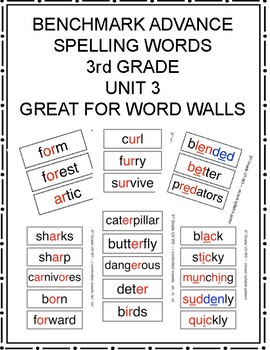 Benchmark Advance 3rd Grade Spelling Words UNIT 3 by Lisa ...