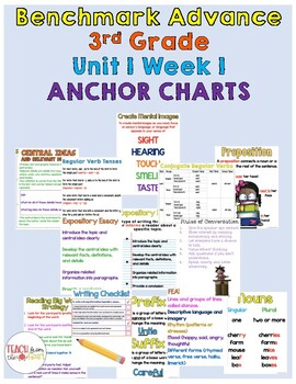 Preview of Benchmark Advance 3rd Grade Unit 1 Anchor Charts