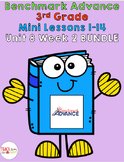 Benchmark Advance 3rd Grade Unit 8 Week 2 BUNDLE (mini-les