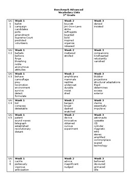 Preview of Benchmark Advance 3rd Grade Vocabulary List