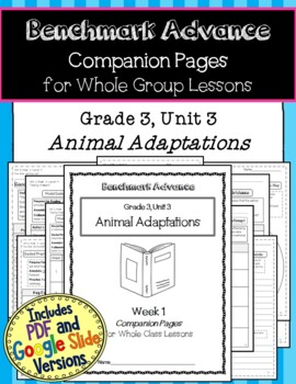 Preview of Benchmark Advance Companion Pages * Grade 3, Unit 3 *GOOGLE and PDF VERSION!