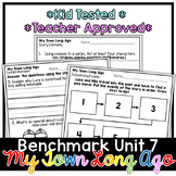 Benchmark Advance First Grade Small Group | My Town Long A