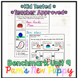 Benchmark Advance First Grade Small Group | Pam's New Pupp