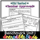 Benchmark Advance First Grade Small Group Reader | Incredi