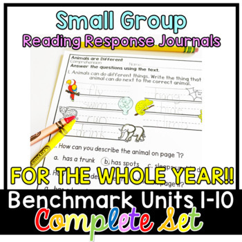 Preview of Benchmark Advance First Grade Small Group Reading FOR THE WHOLE YEAR!