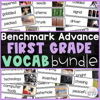 Preview of Benchmark Advance First Grade Vocabulary Bundle Unit 1-10 Editable