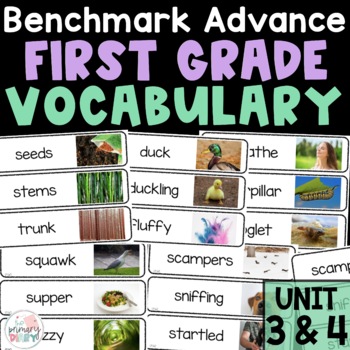 Preview of Benchmark Advance First Grade Vocabulary Unit 3 and Unit 4