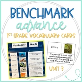 Benchmark Advance 1st Grade Vocabulary Word, Picture & Def